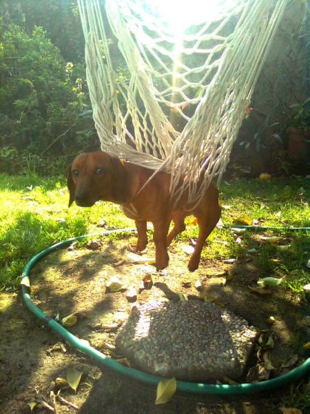 morning picdump 49 pics 12.html - 49 HD Photos | Premium Gallery 2017
