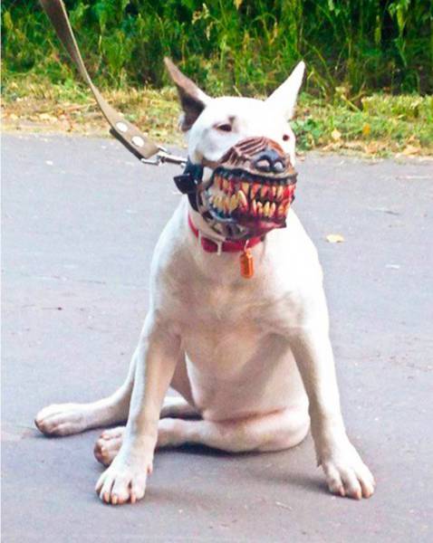 morning picdump 49 pics 12.html - 49 HD Photos | Premium Gallery 2017