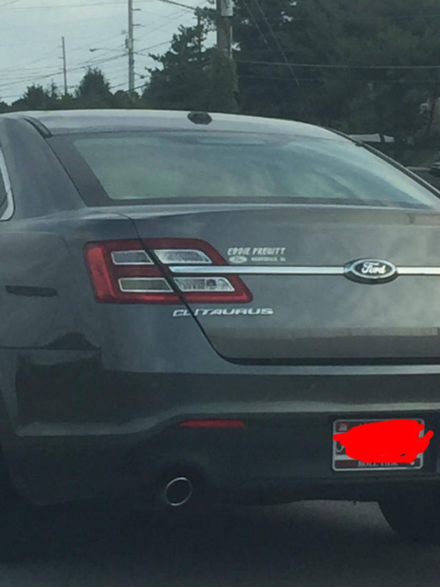 morning picdump 49 pics 12.html - 49 HD Photos | Premium Gallery 2017