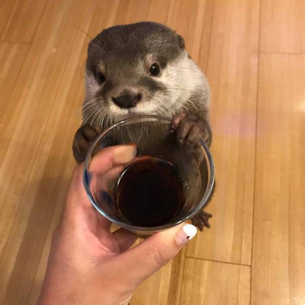 daily picdump 95 pics 9.html - 95 HD Photos | Premium Gallery 2017