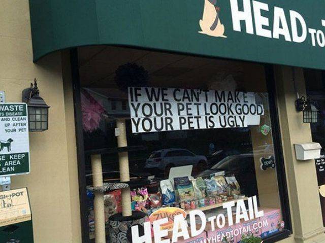 daily picdump 95 pics 9.html - 95 HD Photos | Premium Gallery 2017