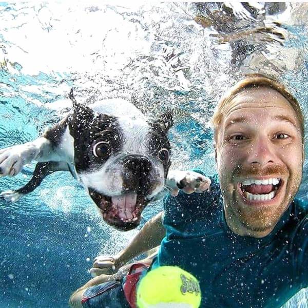 daily picdump 95 pics 9.html - 95 HD Photos | Premium Gallery 2017