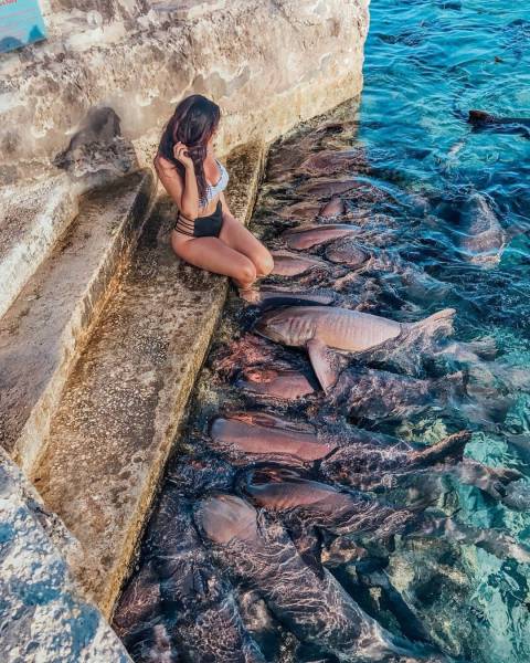 daily picdump 95 pics 9.html - 95 HD Photos | Premium Gallery 2017