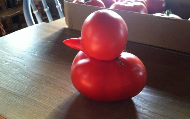 daily picdump 95 pics 9.html - 95 HD Photos | Premium Gallery 2017