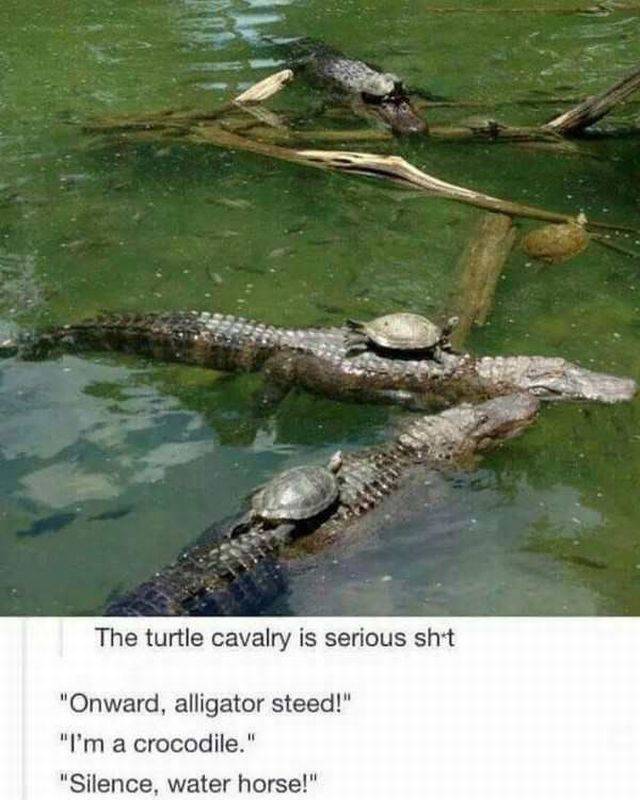 daily picdump 95 pics 9.html - 95 HD Photos | Premium Gallery 2017