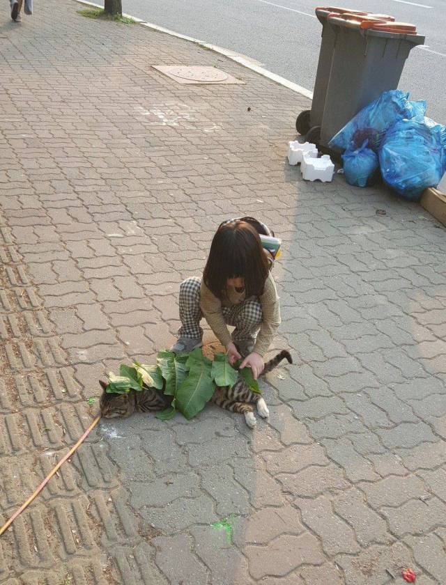 daily picdump 95 pics 9.html - 95 HD Photos | Premium Gallery 2017