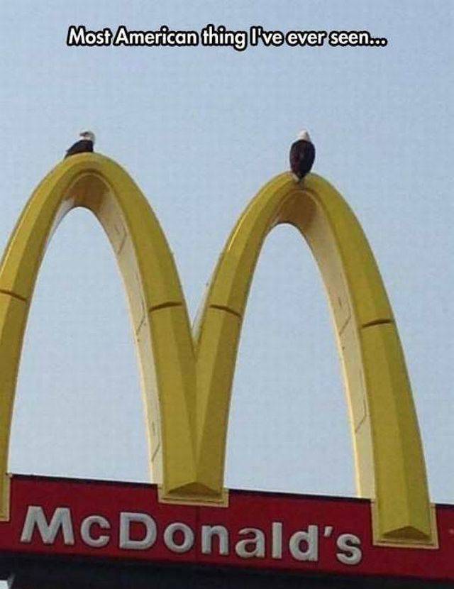 daily picdump 95 pics 9.html - 95 HD Photos | Premium Gallery 2017