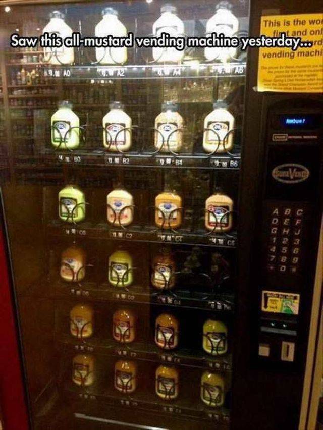 daily picdump 95 pics 9.html - 95 HD Photos | Premium Gallery 2017