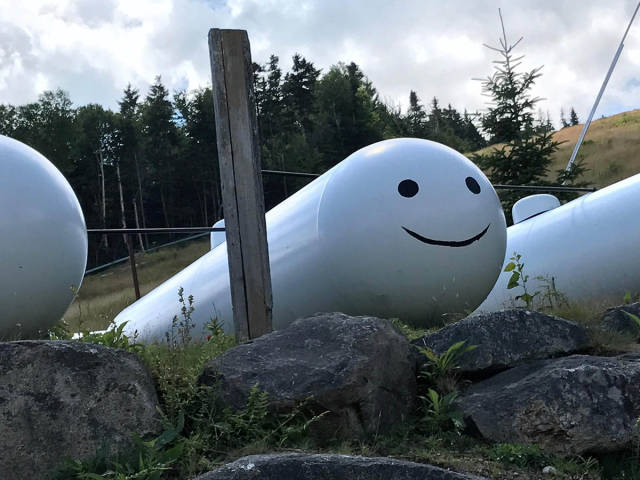 morning picdump 50 pics 17.html - 50 HD Photos | Premium Gallery 2017