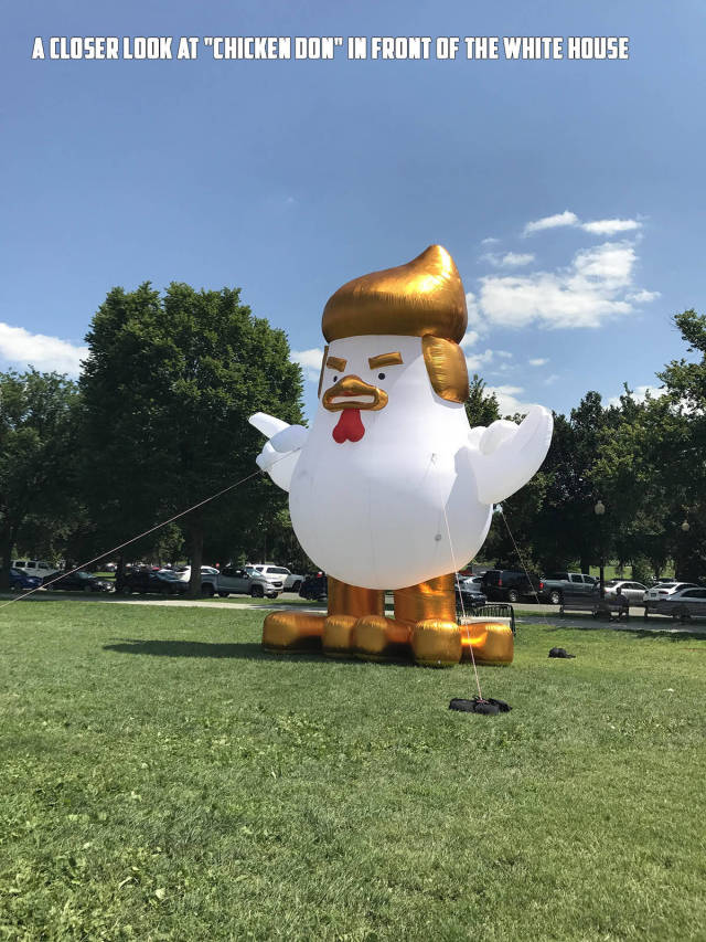 morning picdump 50 pics 17.html - 50 HD Photos | Premium Gallery 2017