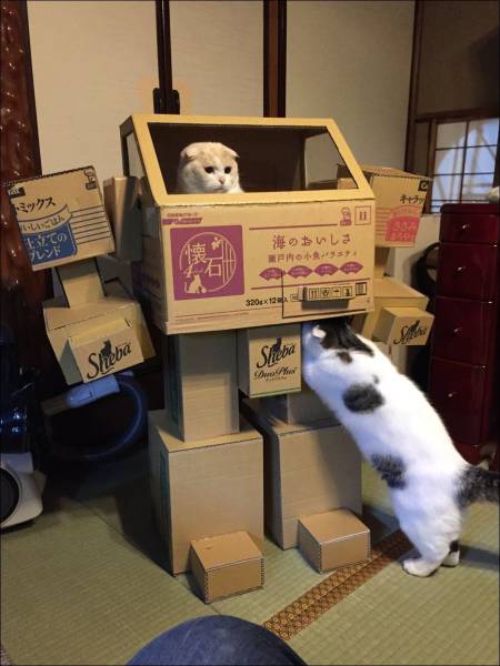 daily picdump 89 pics 36.html - 89 HD Photos | Premium Gallery 2017