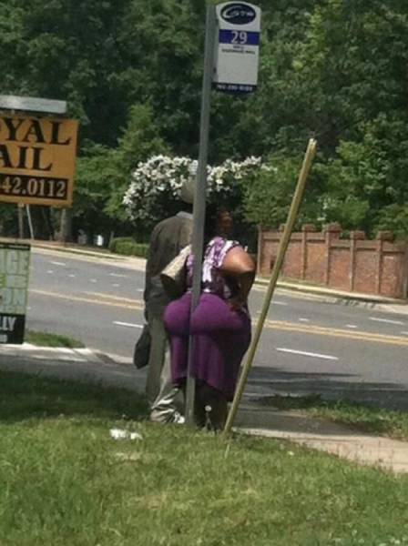 daily picdump 89 pics 36.html - 89 HD Photos | Premium Gallery 2017