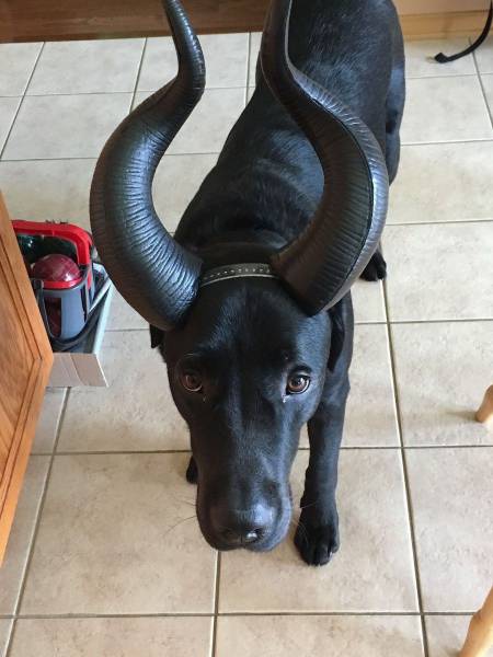 daily picdump 89 pics 36.html - 89 HD Photos | Premium Gallery 2017