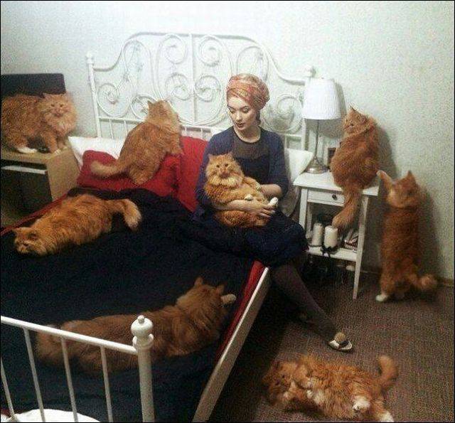 daily picdump 89 pics 36.html - 89 HD Photos | Premium Gallery 2017