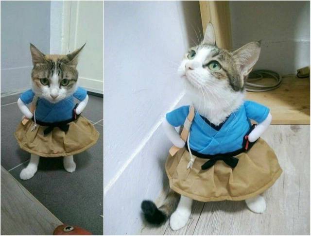 daily picdump 89 pics 36.html - 89 HD Photos | Premium Gallery 2017