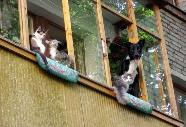 If You Visit Russia, Check The Balconies First