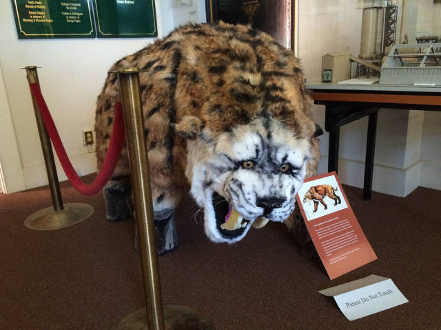 morning picdump 52 pics 12.html - 52 HD Photos | Premium Gallery 2017