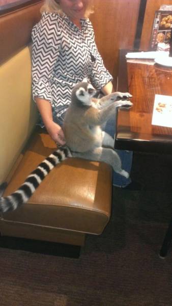 morning picdump 52 pics 12.html - 52 HD Photos | Premium Gallery 2017