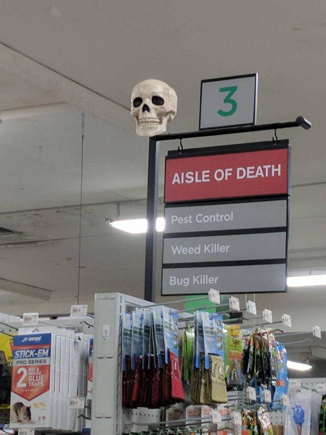 morning picdump 52 pics 12.html - 52 HD Photos | Premium Gallery 2017