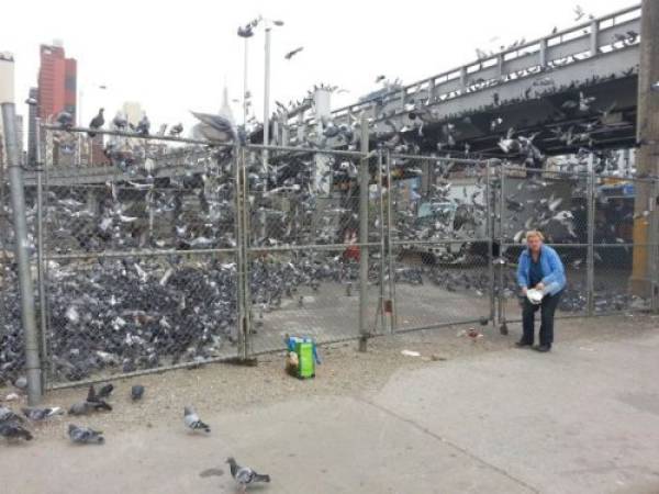 Well, That Escalated Quickly