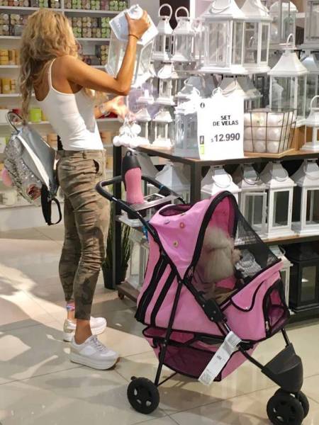 daily picdump weekend edition 74 pics 35.html - 74 HD Photos | Premium Gallery 2017