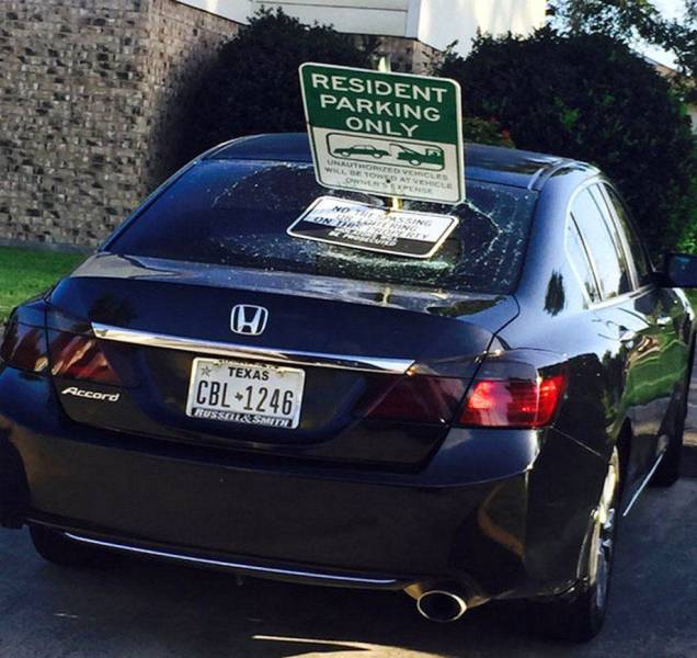 daily picdump weekend edition 74 pics 35.html - 74 HD Photos | Premium Gallery 2017