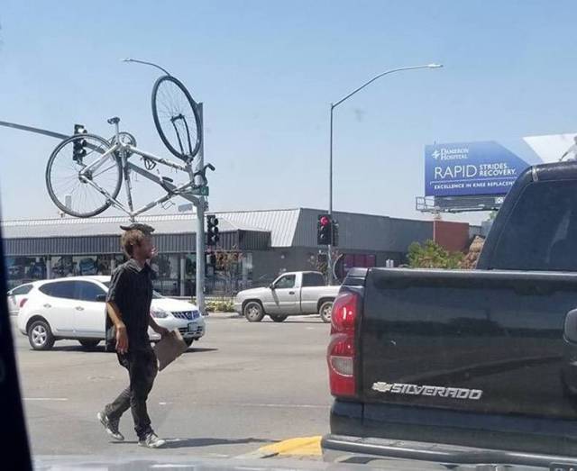 daily picdump weekend edition 74 pics 35.html - 74 HD Photos | Premium Gallery 2017