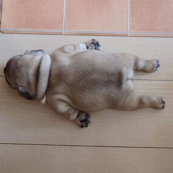 daily picdump weekend edition 74 pics 35.html - 74 HD Photos | Premium Gallery 2017