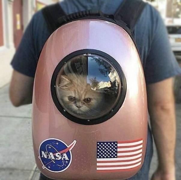 daily picdump weekend edition 74 pics 35.html - 74 HD Photos | Premium Gallery 2017