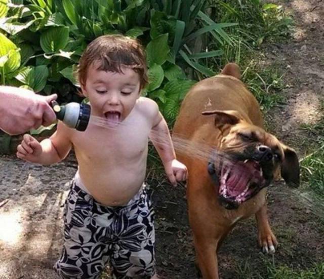 daily picdump 103 pics 38.html - 103 HD Photos | Premium Gallery 2017