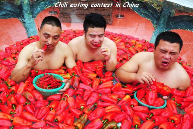 Daily Picdump