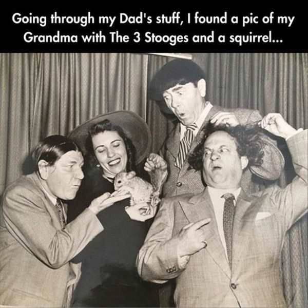 Daily Picdump