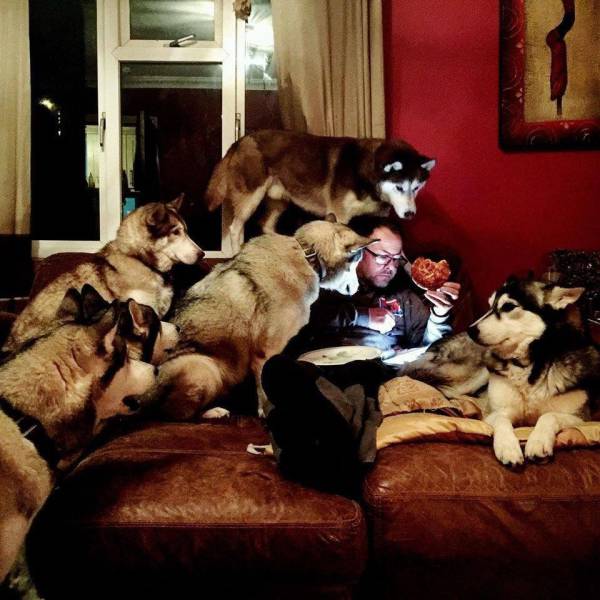 Daily Picdump