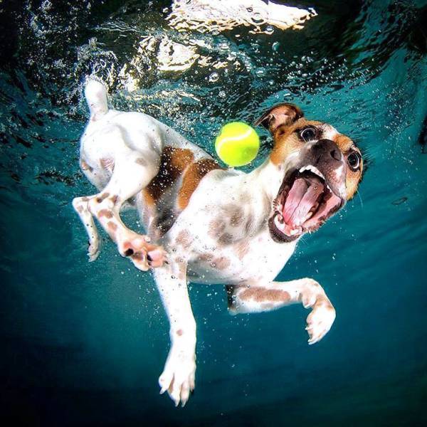 daily picdump 103 pics 38.html - 103 HD Photos | Premium Gallery 2017