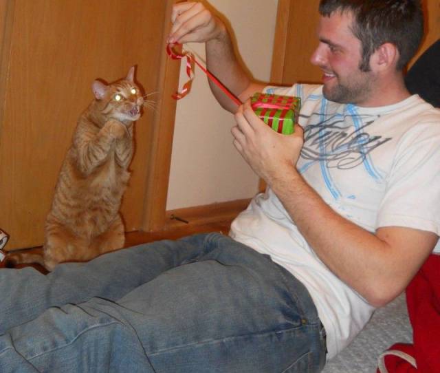daily picdump 103 pics 38.html - 103 HD Photos | Premium Gallery 2017