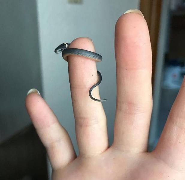 daily picdump 103 pics 38.html - 103 HD Photos | Premium Gallery 2017