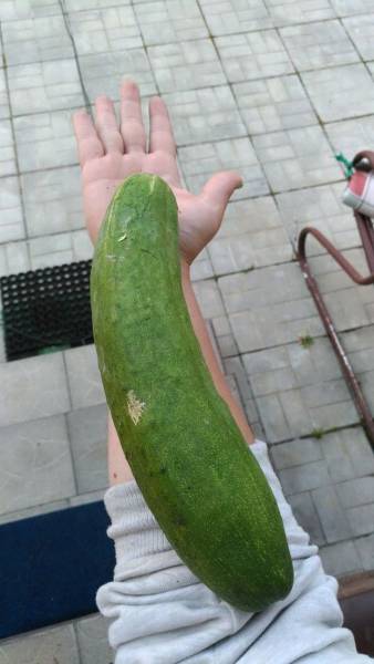 daily picdump 103 pics 38.html - 103 HD Photos | Premium Gallery 2017