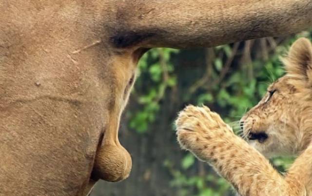 daily picdump 103 pics 38.html - 103 HD Photos | Premium Gallery 2017