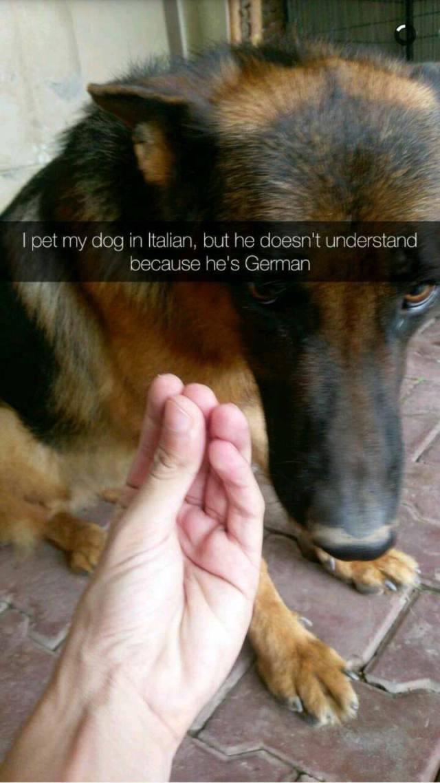 Daily Picdump