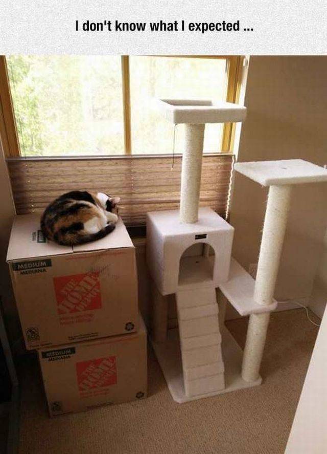 daily picdump 103 pics 38.html - 103 HD Photos | Premium Gallery 2017