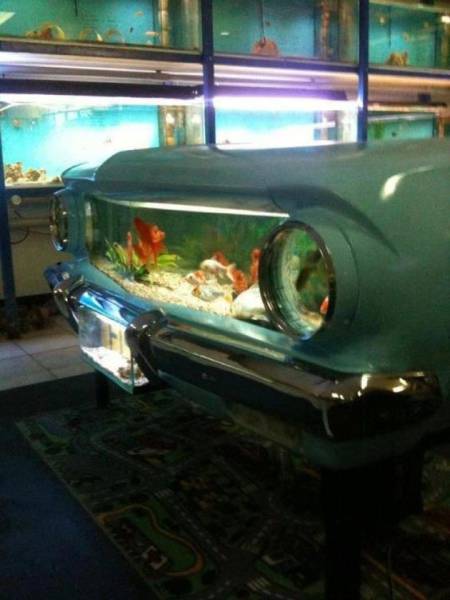Morning Picdump