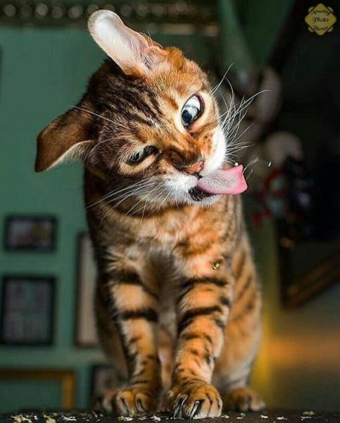 Morning Picdump