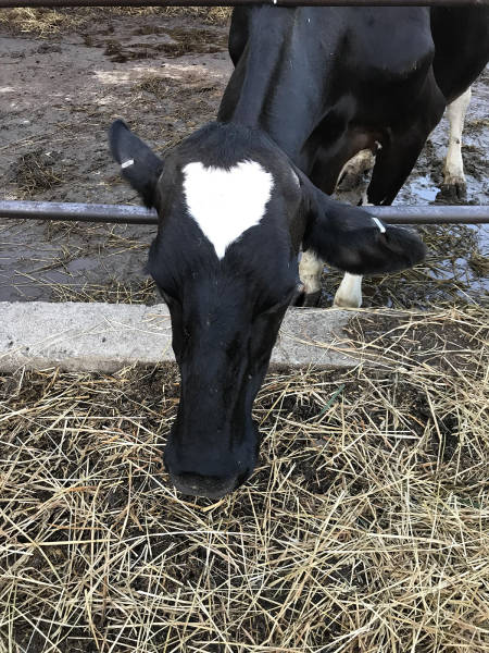 morning picdump 52 pics 12.html - 52 HD Photos | Premium Gallery 2017