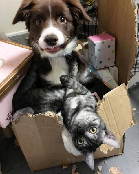 Daily Picdump