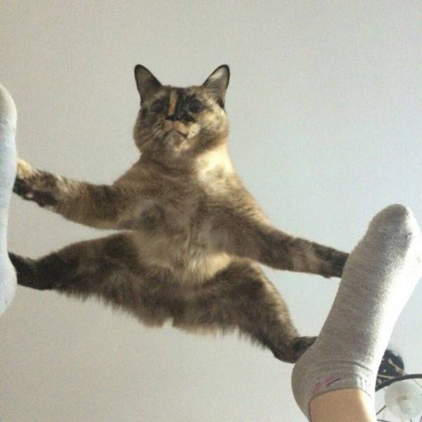 Daily Picdump