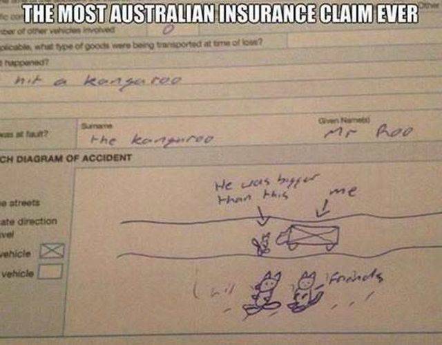 Daily Picdump