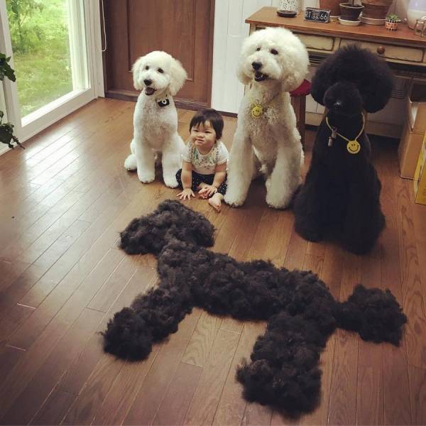 daily picdump 101 pics 31.html - 101 HD Photos | Premium Gallery 2017