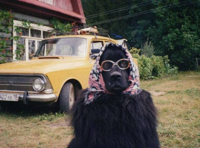 daily picdump 101 pics 31.html - 101 HD Photos | Premium Gallery 2017