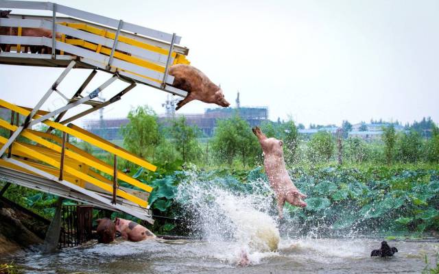daily picdump 101 pics 31.html - 101 HD Photos | Premium Gallery 2017