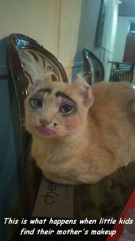 Daily Picdump